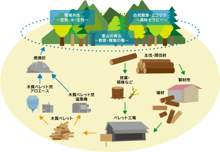森林資源の循環